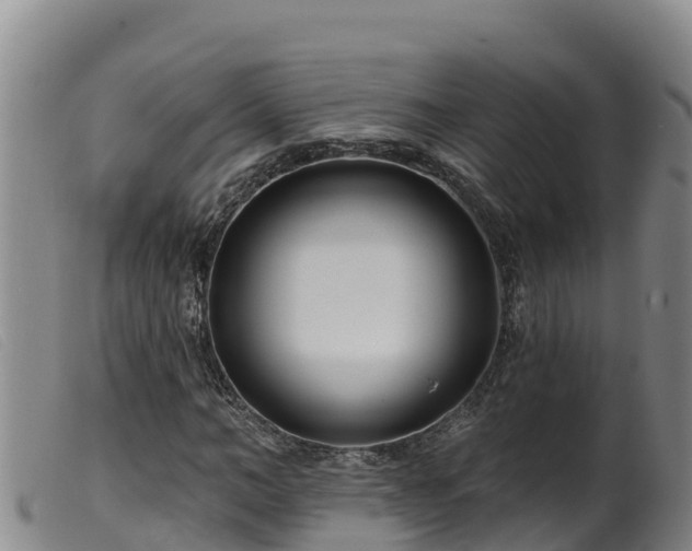 X0000099540966200805231123