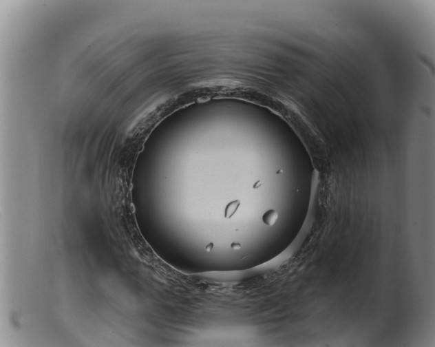 X0000099540967200805231123