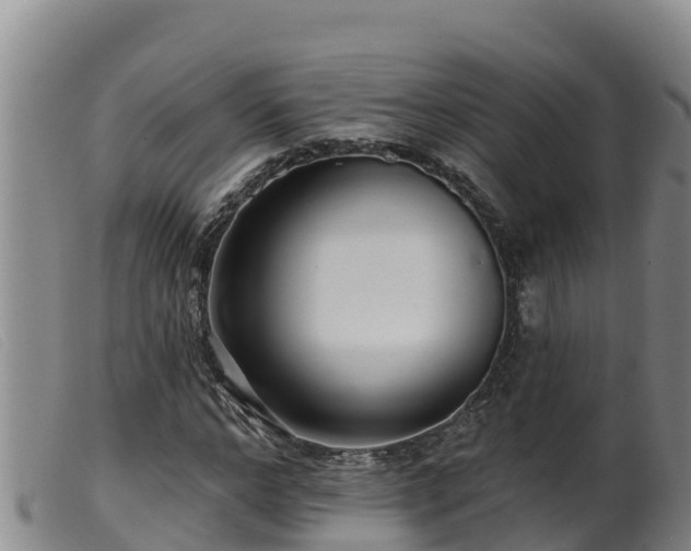 X0000099540968200805231123