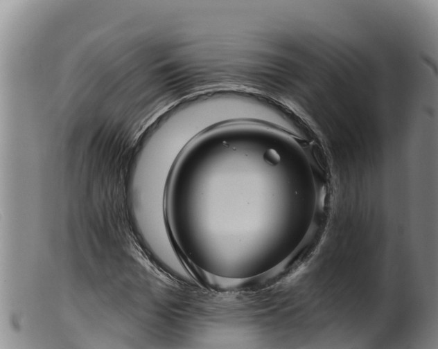 X0000099540969200805231123