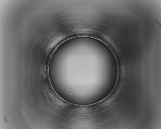 X0000099540970200805231122