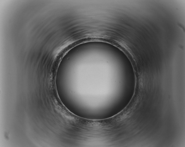 X0000099540971200805231122