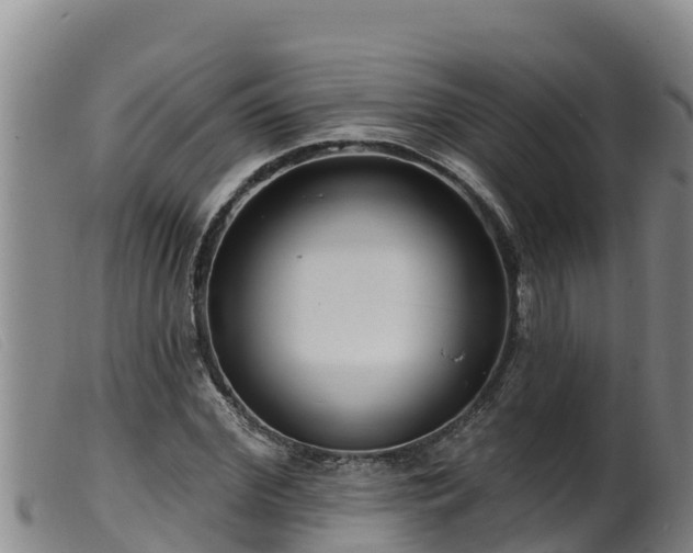 X0000099540972200805231122