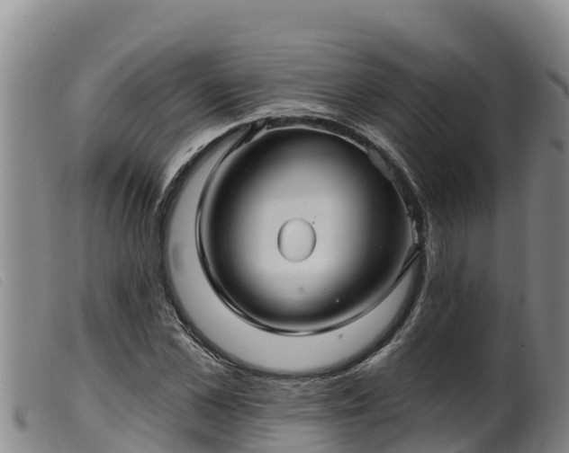 X0000099540973200805231122