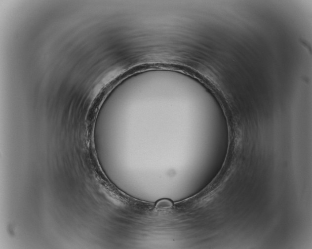 X0000099540974200805231122