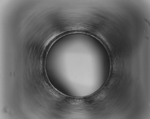 X0000099540975200805231122