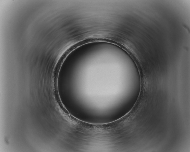 X0000099540976200805231122