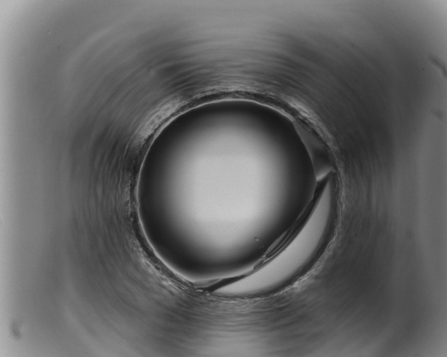 X0000099540977200805231122