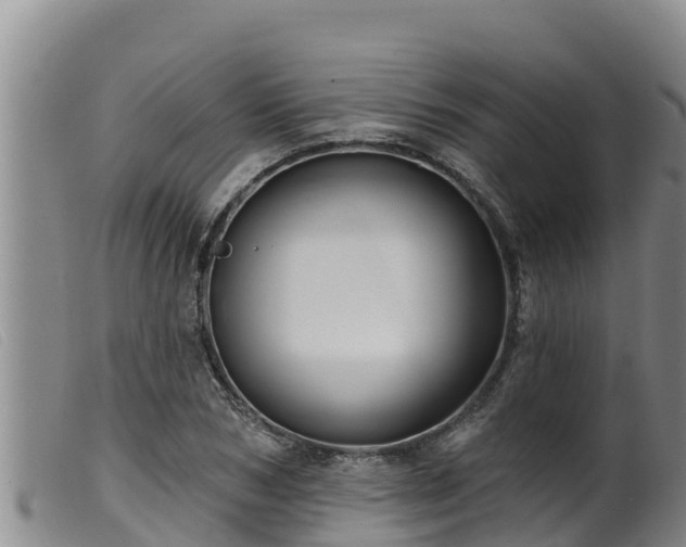 X0000099540978200805231122