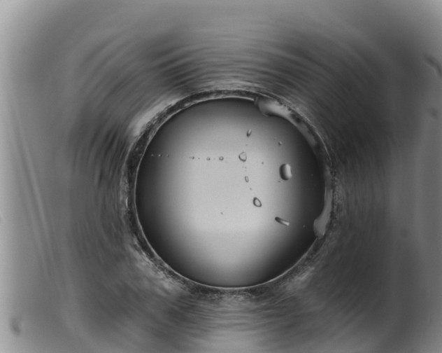 X0000099540979200805231122