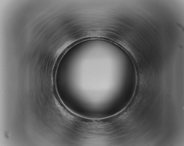 X0000099540980200805231122