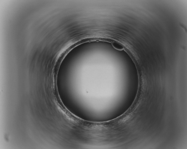 X0000099540982200805231122