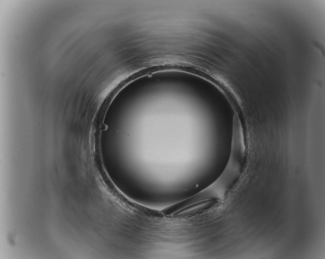 X0000099540983200805231122