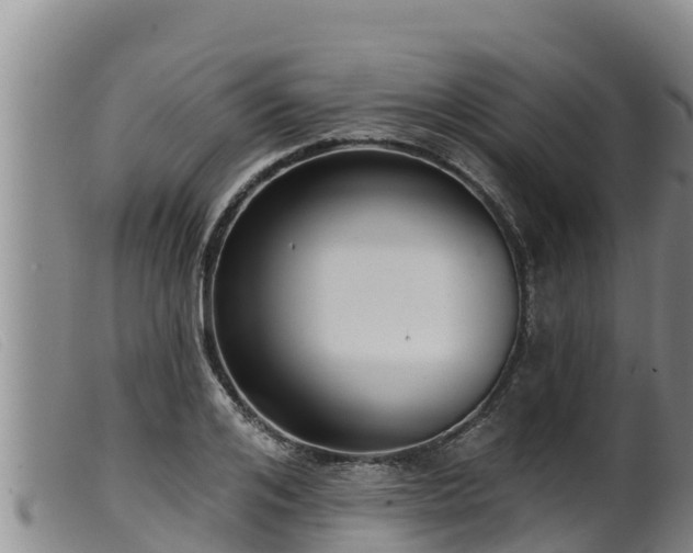 X0000099540984200805231122