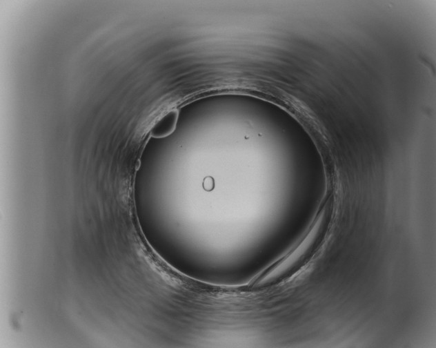 X0000099540985200805231122