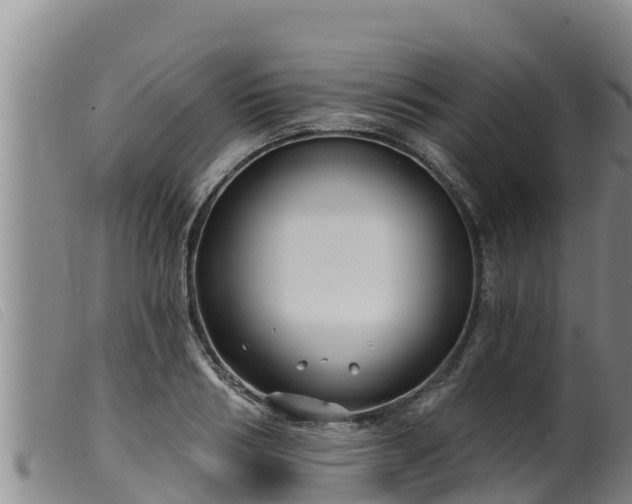 X0000099540986200805231122