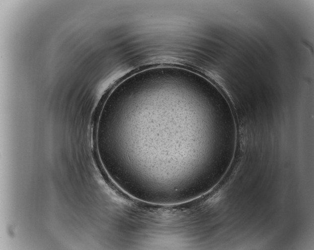 X0000099540987200805231122