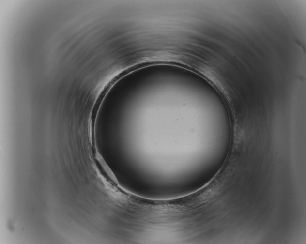 X0000099540988200805231122