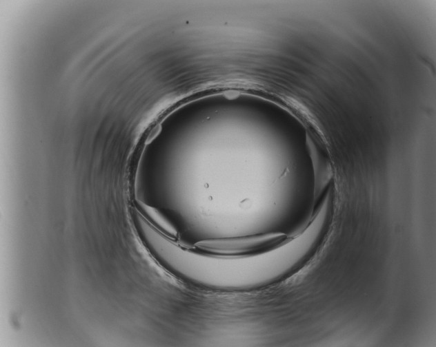 X0000099540989200805231122