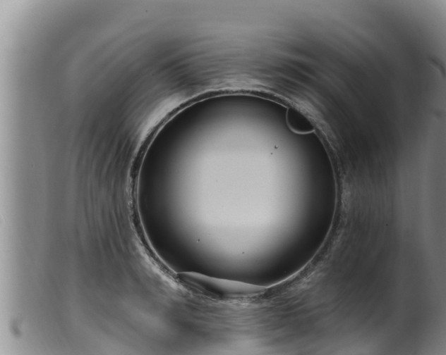 X0000099540990200805231122