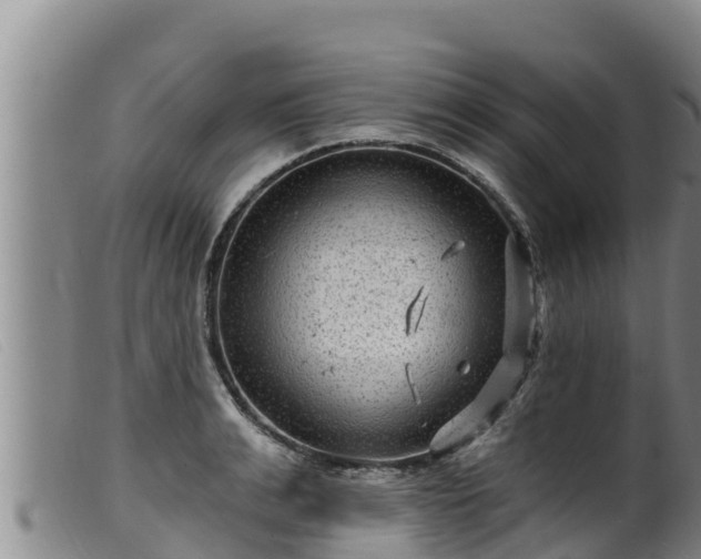 X0000099540991200805231122