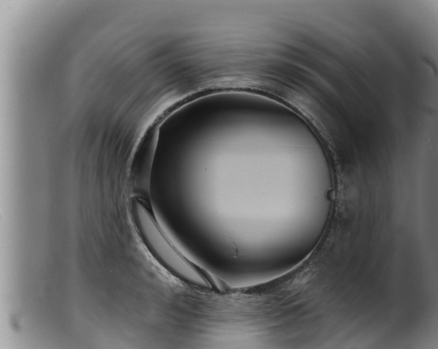 X0000099540992200805231122