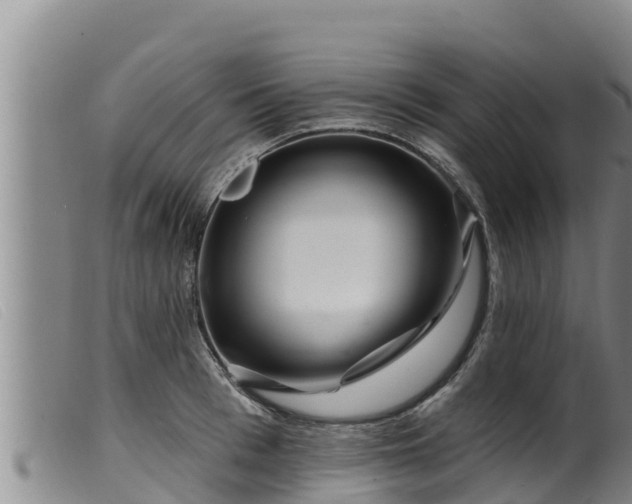 X0000099540993200805231122