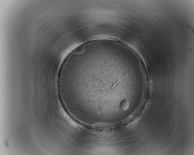 X0000099540995200805231122