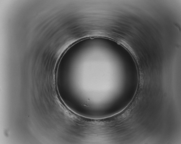 X0000099540996200805231122