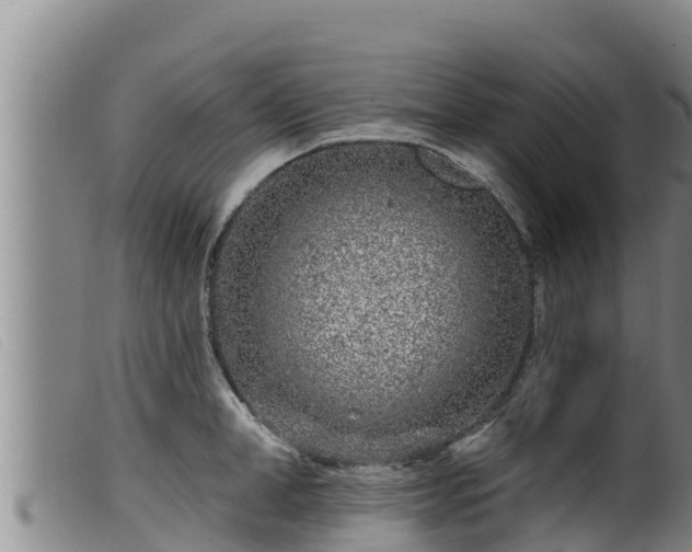 X0000099540998200805231122