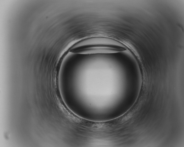 X0000099541000200805231122