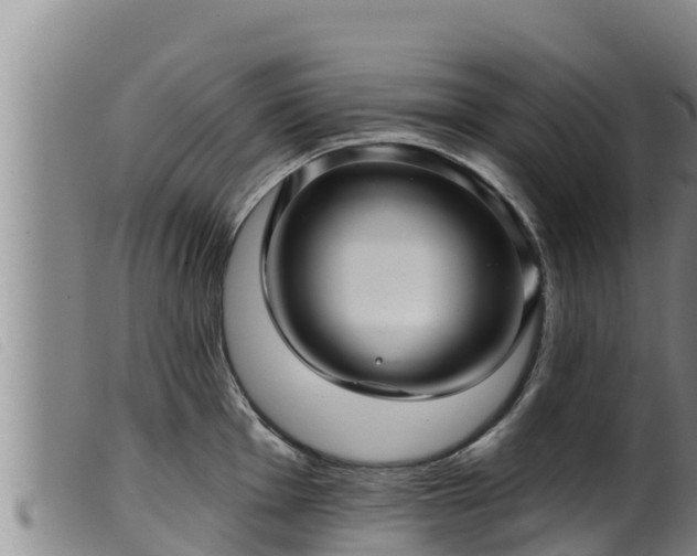 X0000099541001200805231122