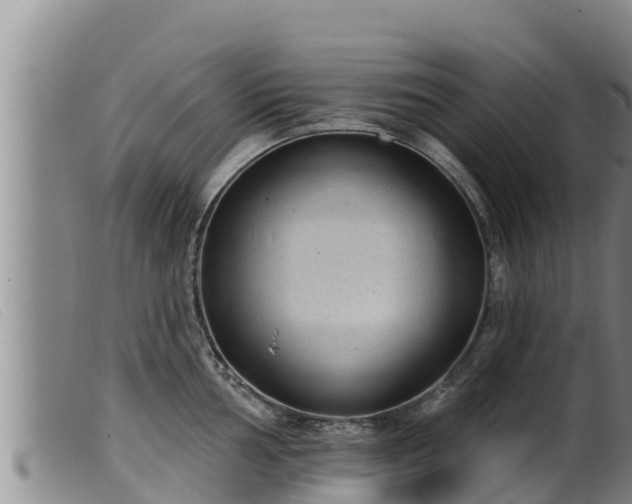 X0000099541002200805231122