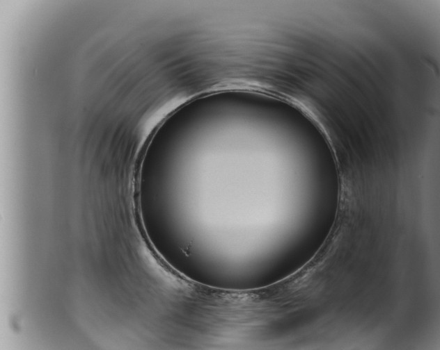 X0000099541003200805231122