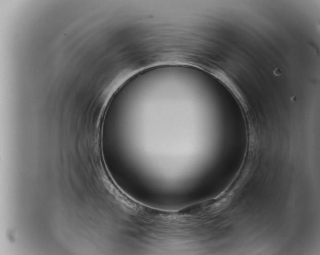 X0000099541004200805231122