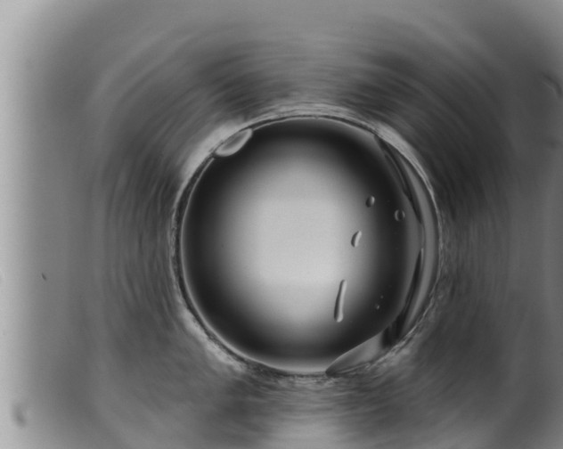 X0000099541005200805231122