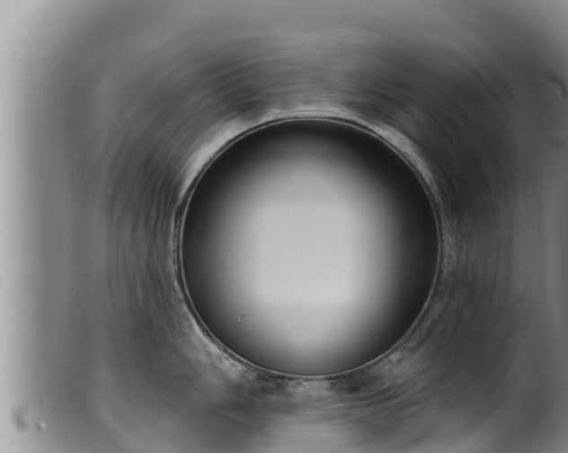 X0000099541006200805231122