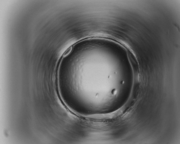 X0000099541007200805231122