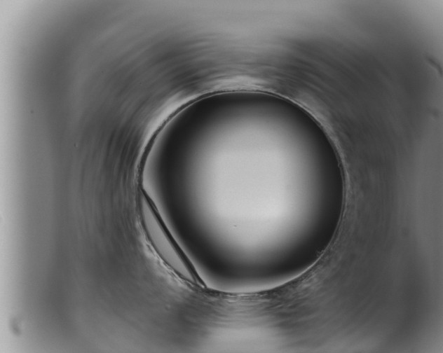 X0000099541008200805231122