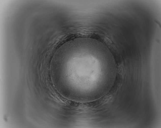 X0000099541009200805231121