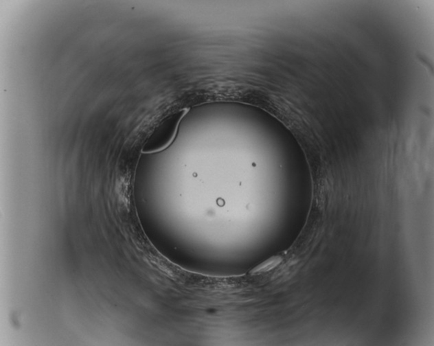 X0000099541010200805231121