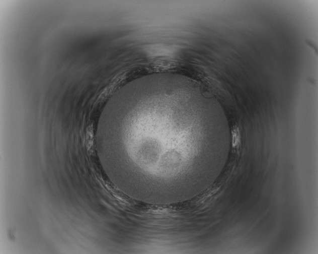 X0000099541011200805231121