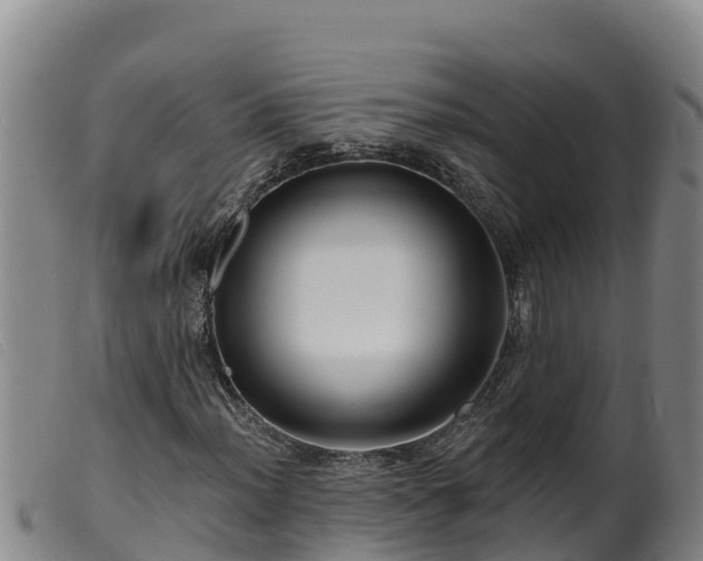 X0000099541012200805231121