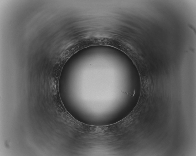 X0000099541013200805231121