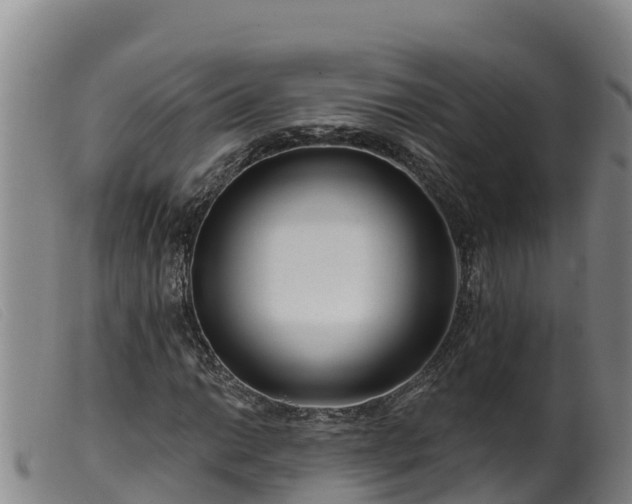 X0000099541014200805231121