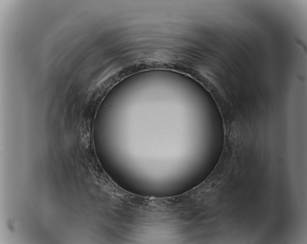 X0000099541015200805231121