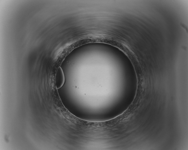 X0000099541016200805231121