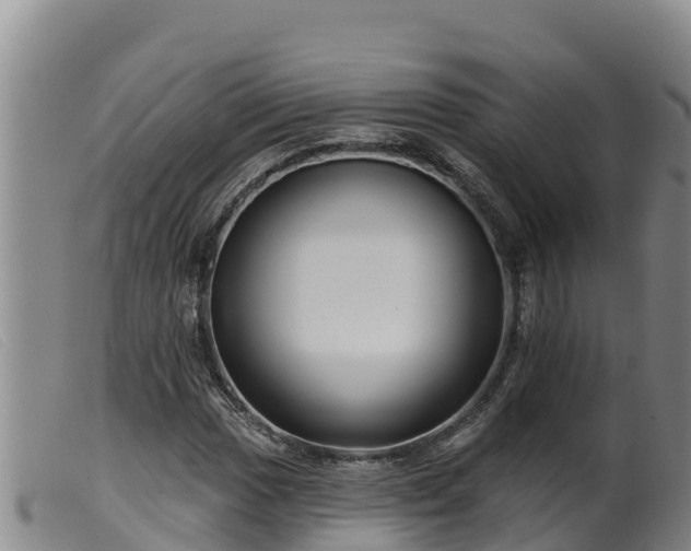 X0000099541017200805231121