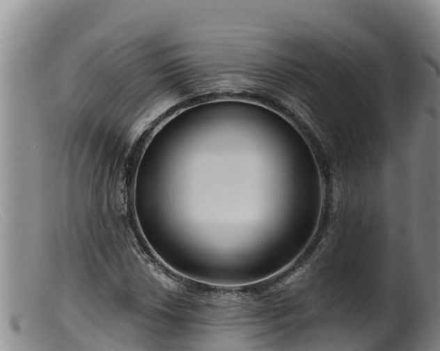 X0000099541018200805231121