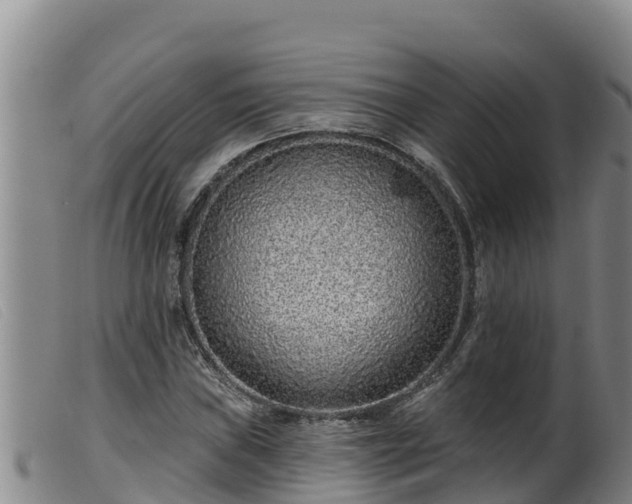 X0000099541019200805231121